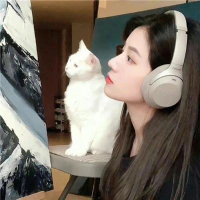 浪漫暴风圈